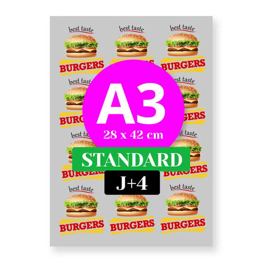 A3  standard j+4